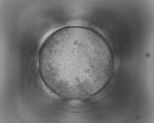 X0000110891462200907161514