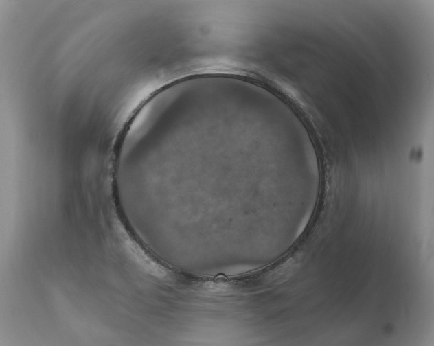 X0000110891463200907161514