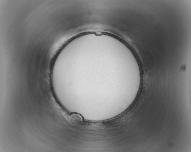 X0000110891464200907161514