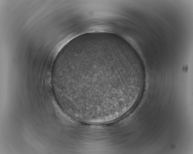 X0000110891465200907161514