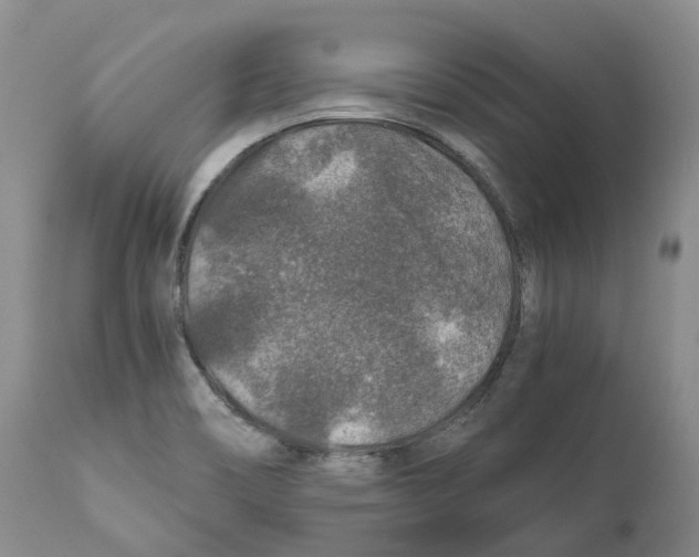 X0000110891466200907161514