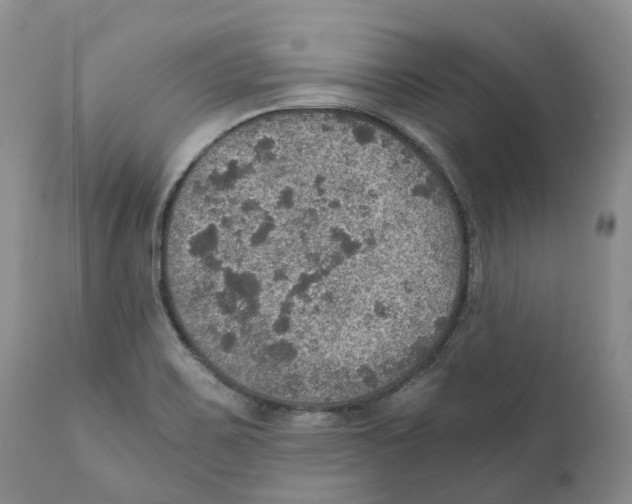 X0000110891467200907161514