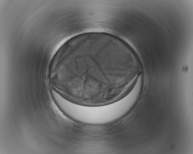 X0000110891468200907161514