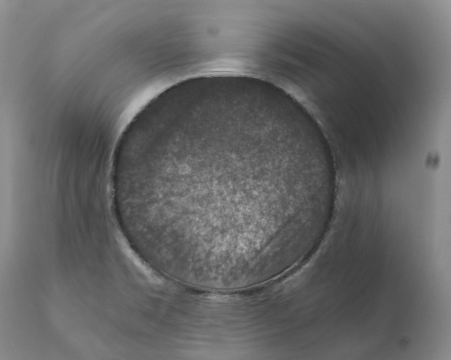 X0000110891469200907161514