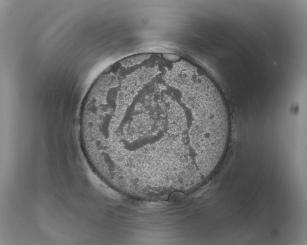 X0000110891471200907161514