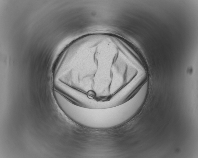 X0000110891472200907161514