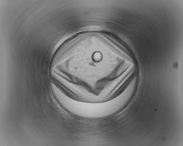 X0000110891473200907161514