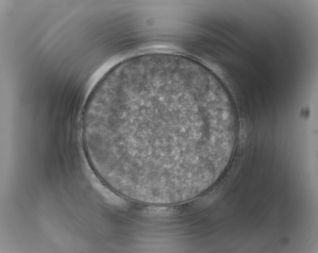 X0000110891474200907161514