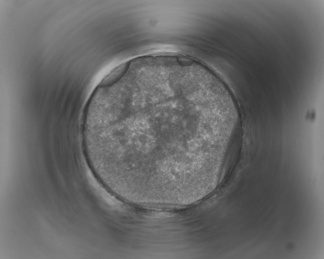 X0000110891475200907161514