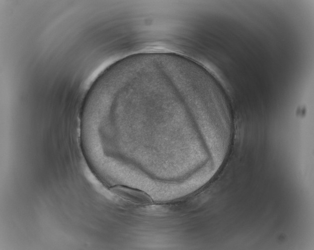 X0000110891476200907161514