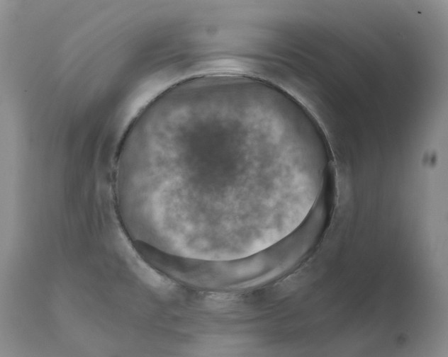 X0000110891477200907161514