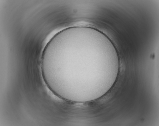 X0000110891478200907161514