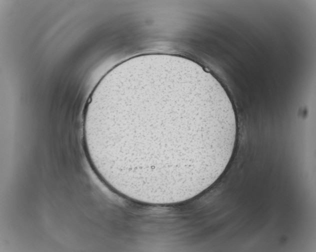 X0000110891479200907161514