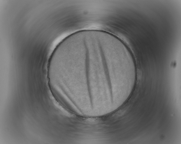 X0000110891480200907161514