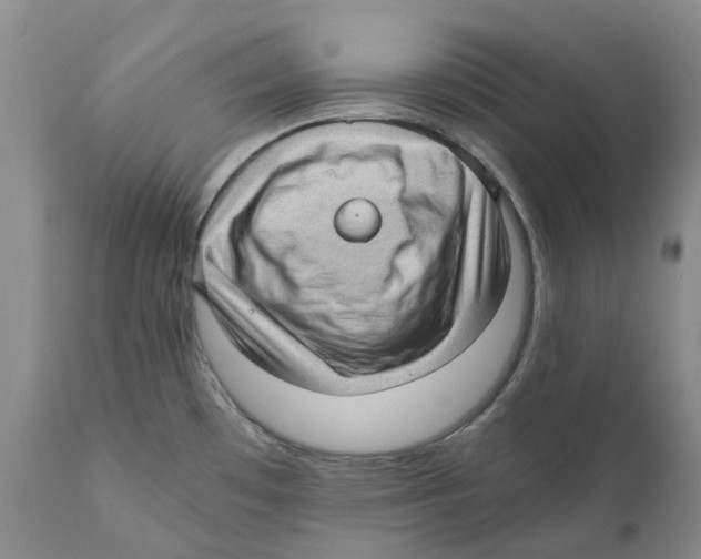 X0000110891481200907161514