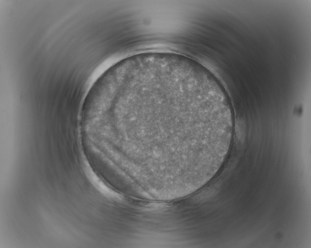 X0000110891482200907161514