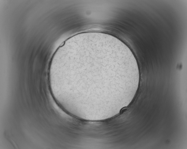 X0000110891483200907161514