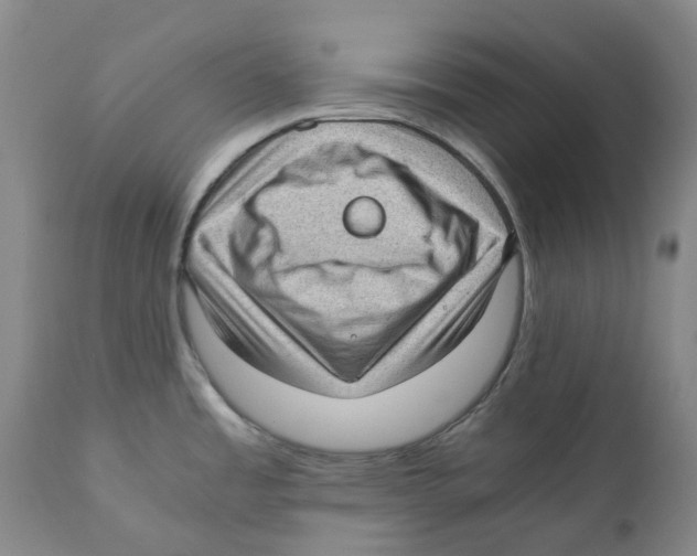 X0000110891485200907161514