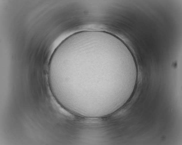 X0000110891486200907161514