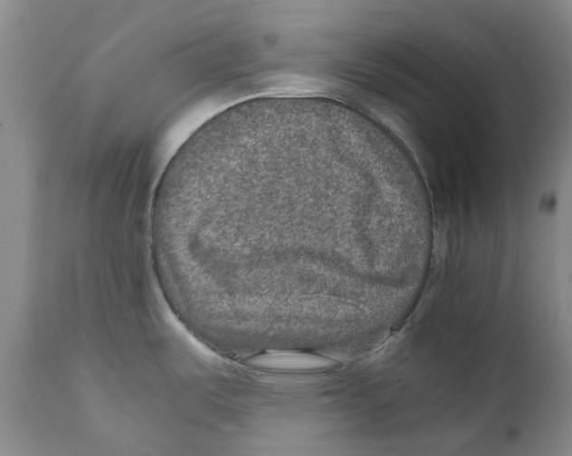 X0000110891487200907161514