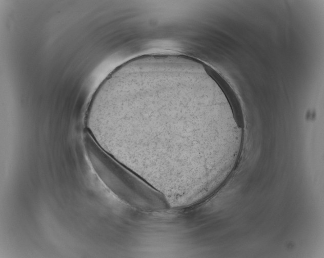 X0000110891488200907161514