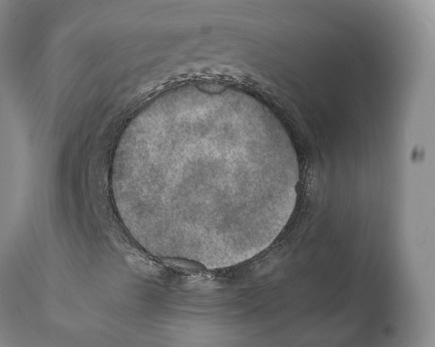 X0000110891489200907161513