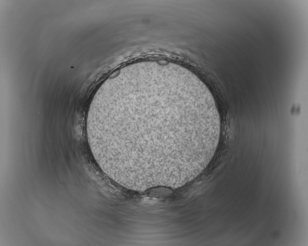 X0000110891490200907161513