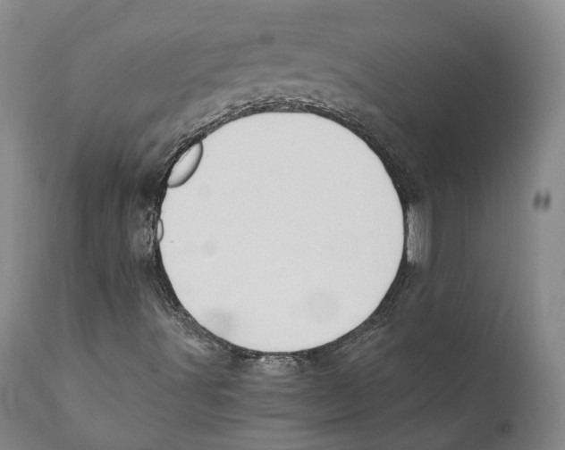 X0000110891491200907161513