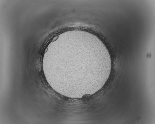 X0000110891493200907161513