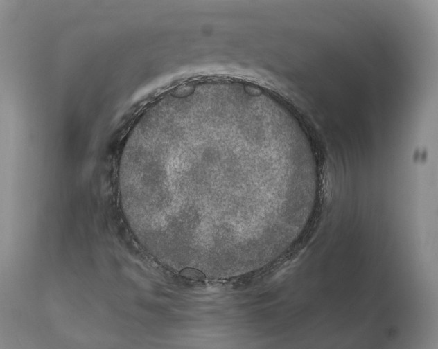 X0000110891494200907161513