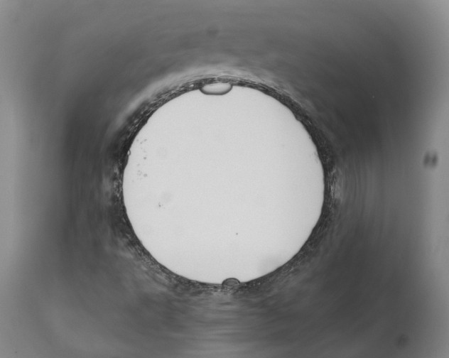 X0000110891495200907161513