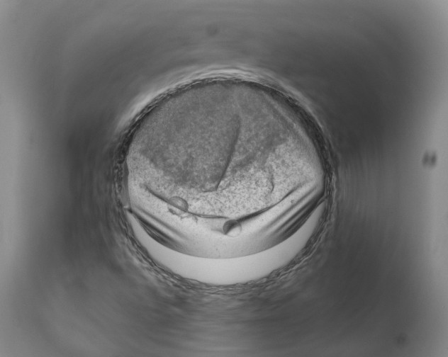 X0000110891496200907161513