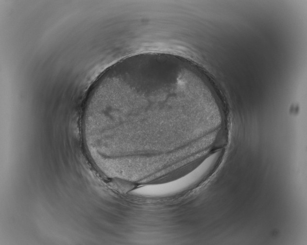 X0000110891497200907161513