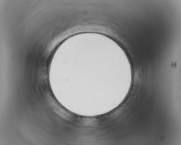 X0000110891498200907161513