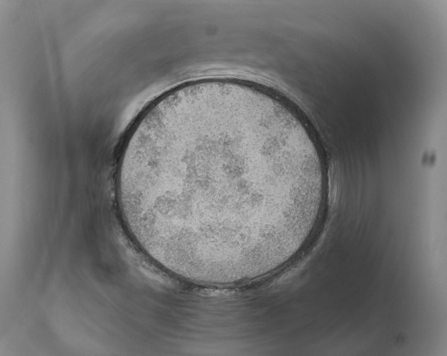 X0000110891501200907161513