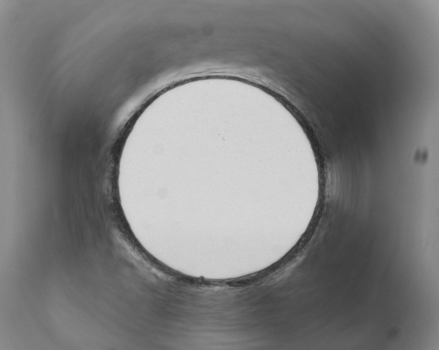 X0000110891502200907161513