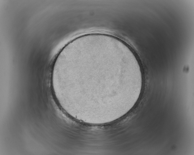 X0000110891504200907161513