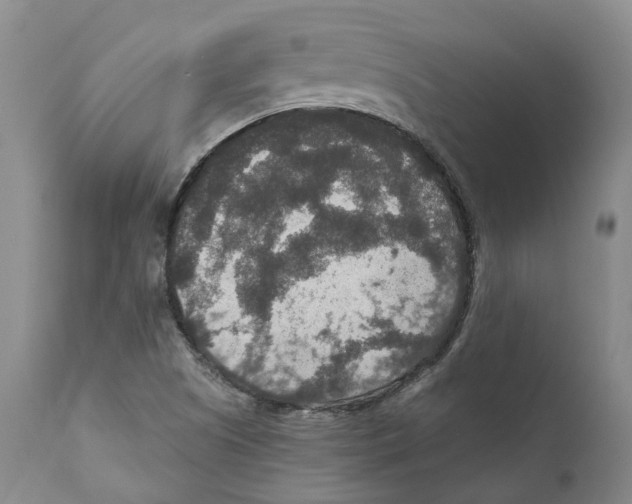 X0000110891505200907161513