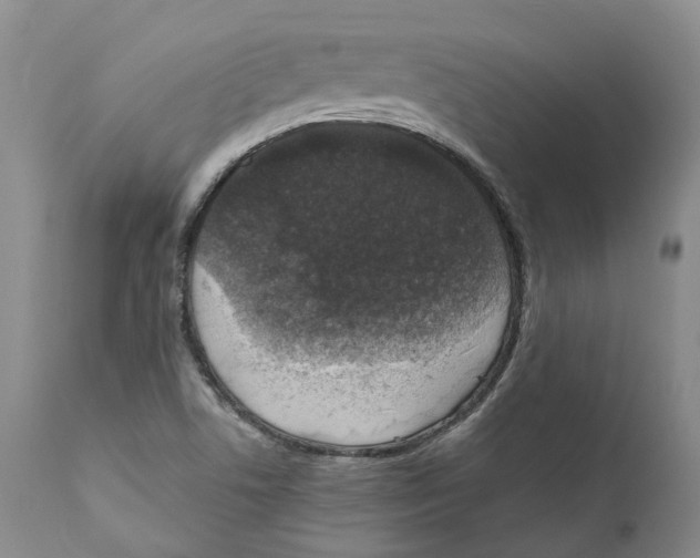 X0000110891506200907161513