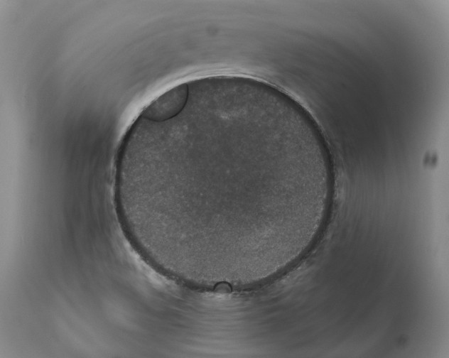 X0000110891508200907161513