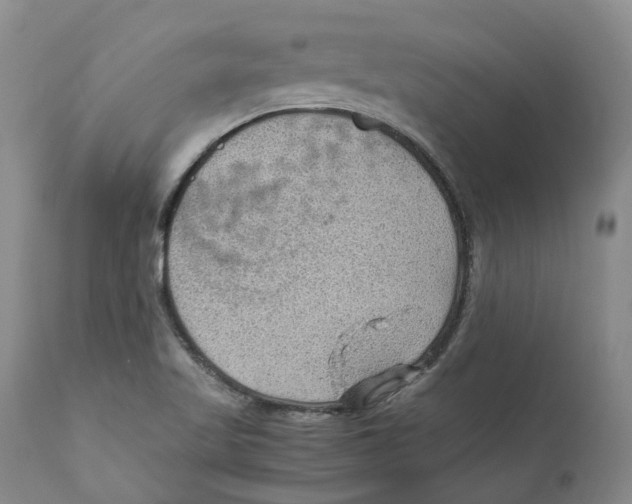 X0000110891509200907161513