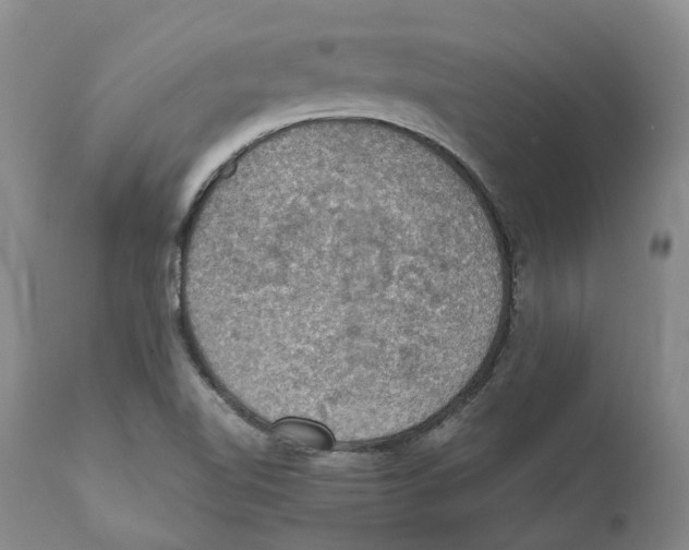 X0000110891510200907161513