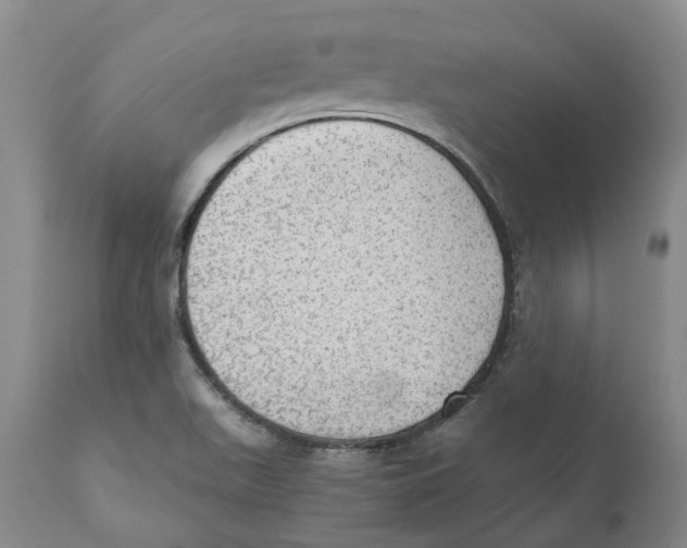 X0000110891511200907161513