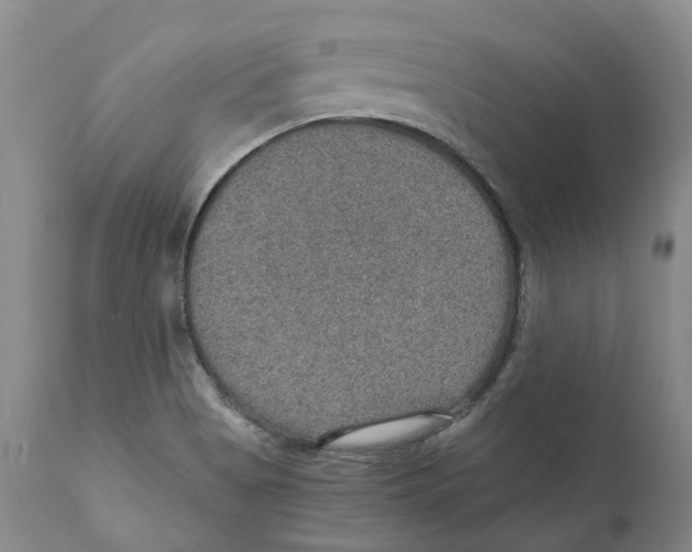 X0000110891513200907161513