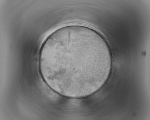 X0000110891514200907161513