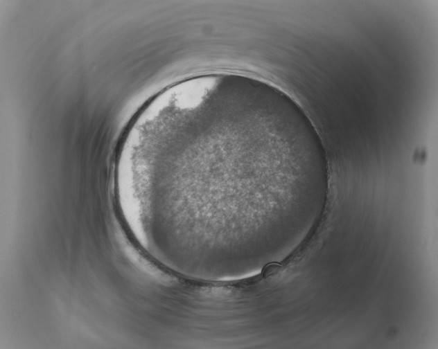 X0000110891515200907161513