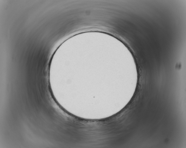 X0000110891516200907161513