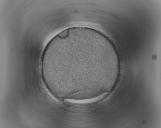 X0000110891517200907161514