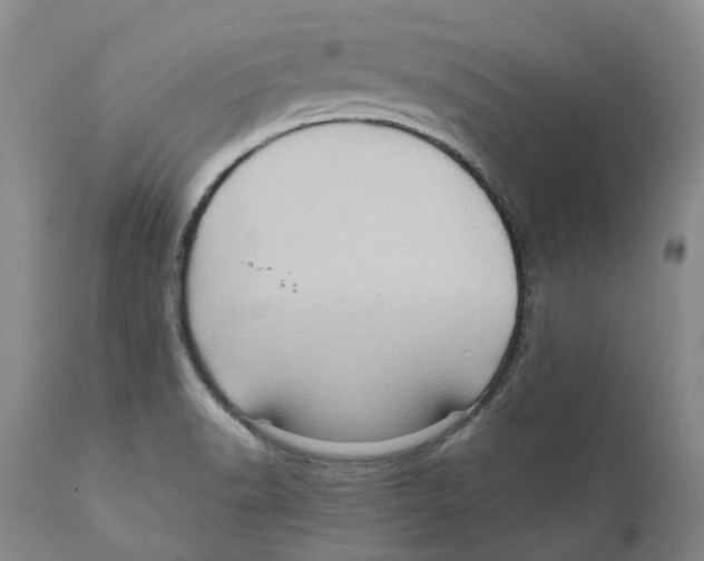 X0000110891518200907161514