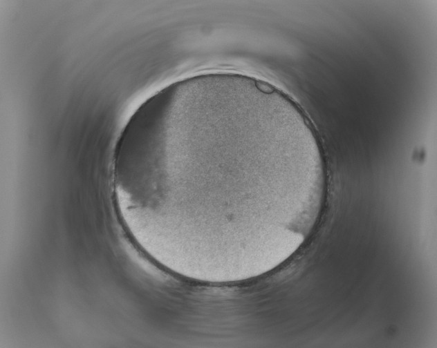 X0000110891519200907161514